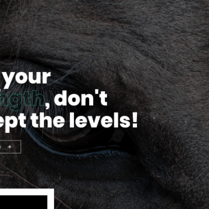 home-creative-agency