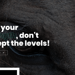 home-creative-agency