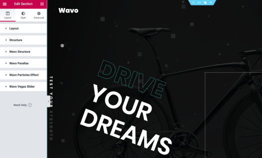 section-widget-elementor